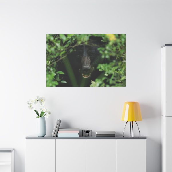 91638-492.jpg Black Bear in the Bush Standard Canvas