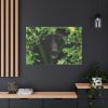 91638-493.jpg Black Bear in the Bush Standard Canvas