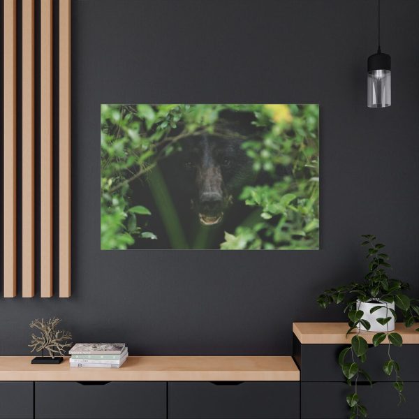 91638-493.jpg Black Bear in the Bush Standard Canvas