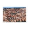 91638-496.jpg Utah national park, Bryce Canyon Standard Canvas