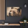 91638-523.jpg Brown Bear Snout Standard Canvas