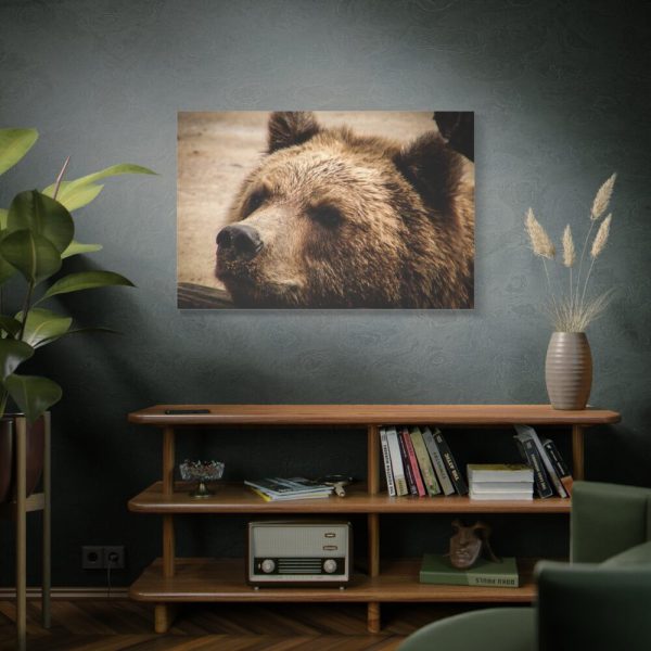 91638-524.jpg Brown Bear Snout Standard Canvas