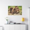 91638-527.jpg Brown Bear Wild Standard Canvas