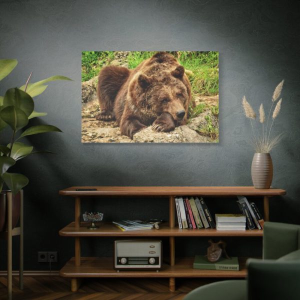 91638-529.jpg Brown Bear Wild Standard Canvas