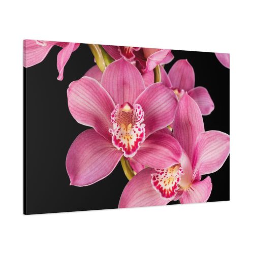 91638-530.jpg Cymbidium Hybrid Orchid Standard Canvas