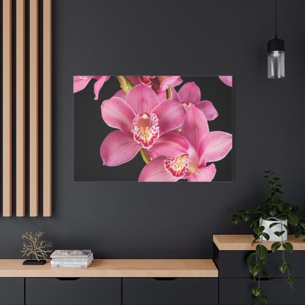 91638-533.jpg Cymbidium Hybrid Orchid Standard Canvas