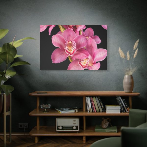 91638-534.jpg Cymbidium Hybrid Orchid Standard Canvas