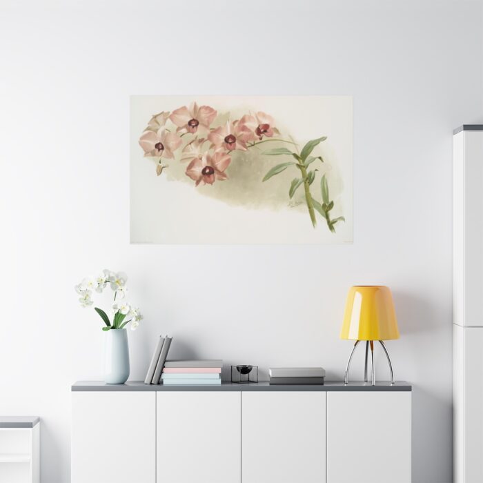 Dendrobium Phalænopsis by Frederick Sander Standard Canvas - Image 3