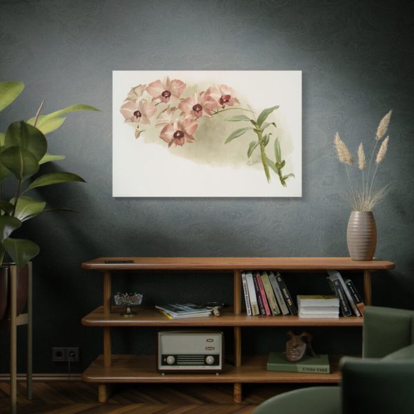 Dendrobium Phalænopsis by Frederick Sander Standard Canvas