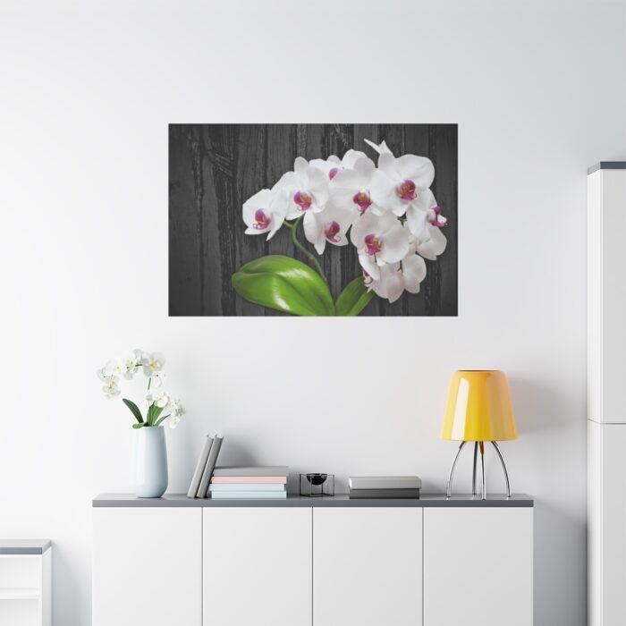 White Orchid Plant Standard Canvas - Image 3