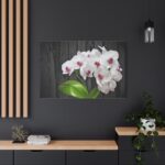 White Orchid Plant Standard Canvas - Image 4