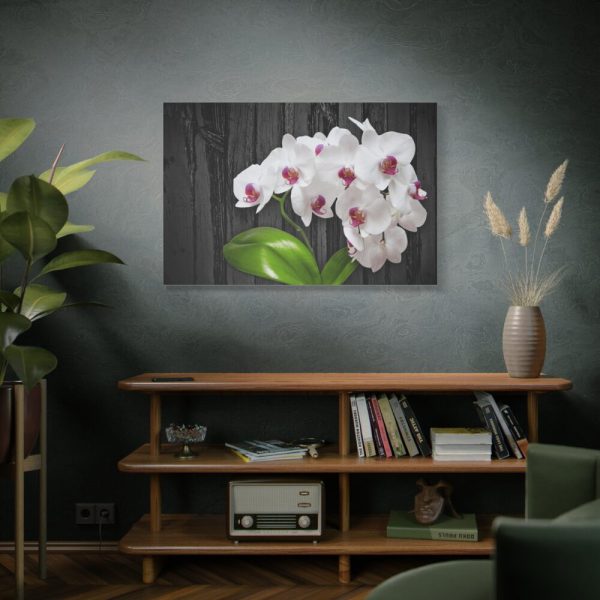 91638-544.jpg White Orchid Plant Standard Canvas