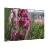 91638-545.jpg Orchid Cash Plant Standard Canvas