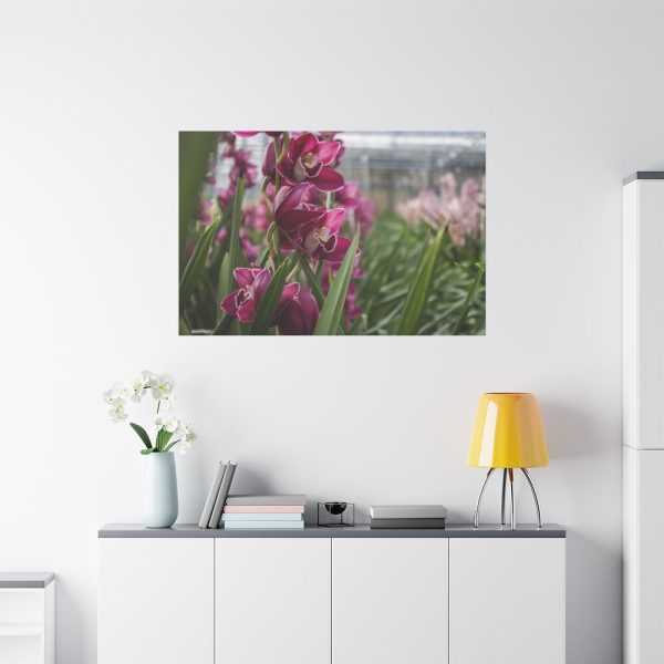 91638-547.jpg Orchid Cash Plant Standard Canvas