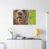 European Brown Bear Standard Canvas