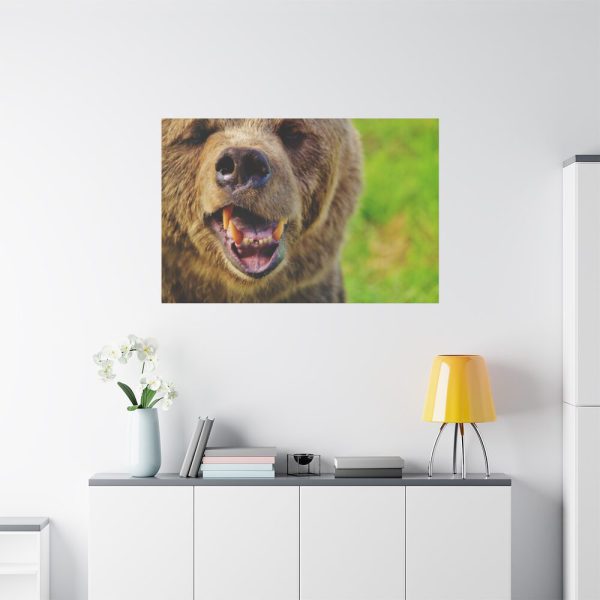 European Brown Bear Standard Canvas