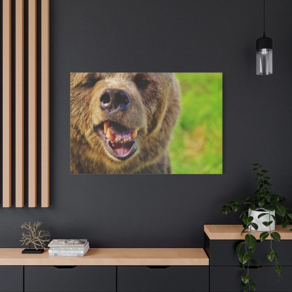 European Brown Bear Standard Canvas