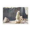 White Polar Bear Zoo Standard Canvas