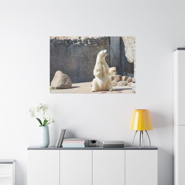 White Polar Bear Zoo Standard Canvas