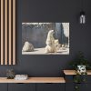 White Polar Bear Zoo Standard Canvas
