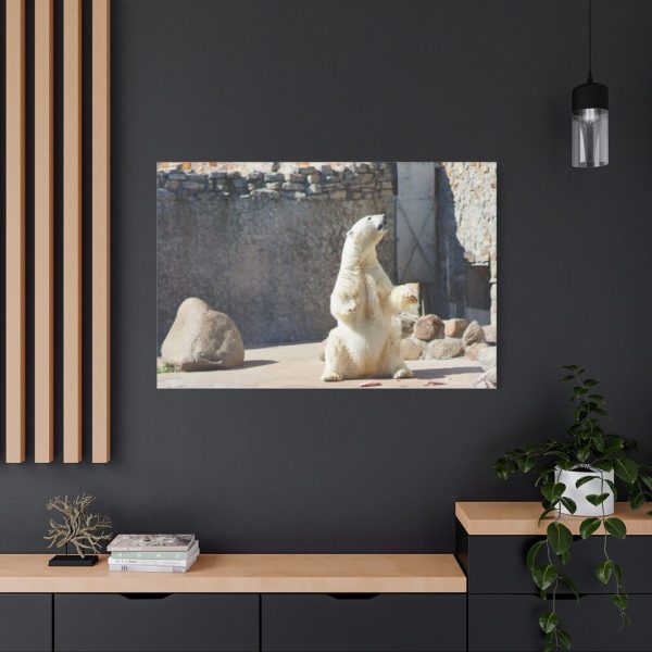 White Polar Bear Zoo Standard Canvas