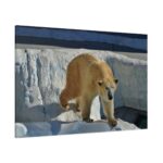 Wet Polar Bear Standard Canvas