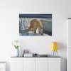 Wet Polar Bear Standard Canvas