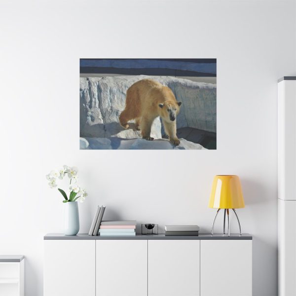 Wet Polar Bear Standard Canvas