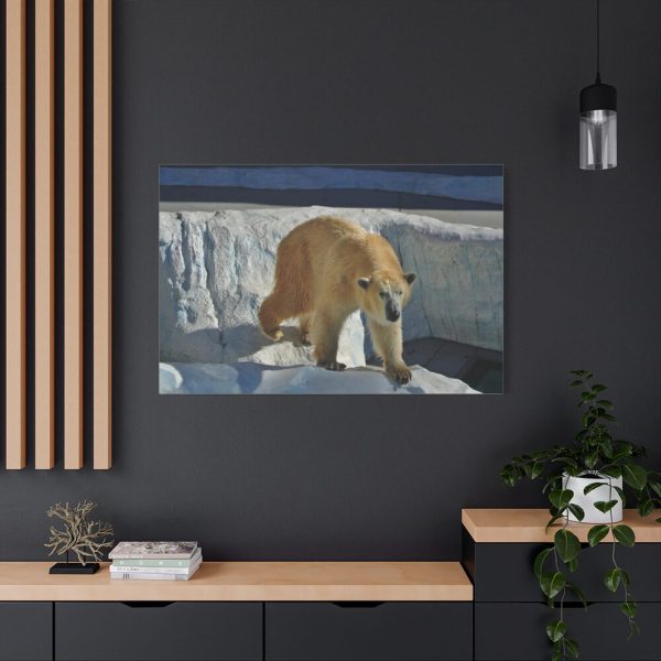 Wet Polar Bear Standard Canvas