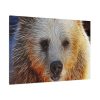 91638-570.jpg Syrian Bear Face Standard Canvas