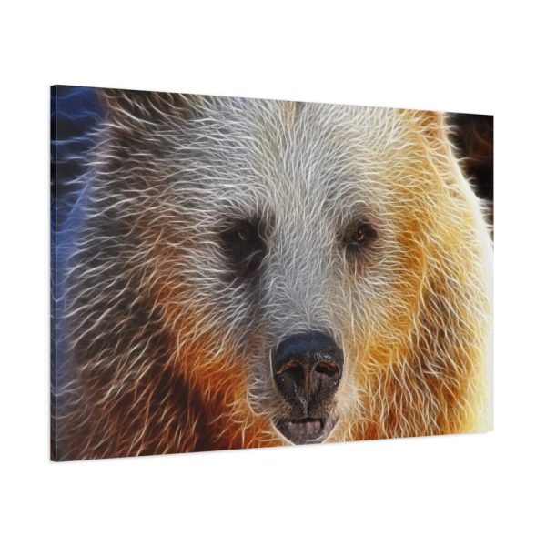 91638-570.jpg Syrian Bear Face Standard Canvas