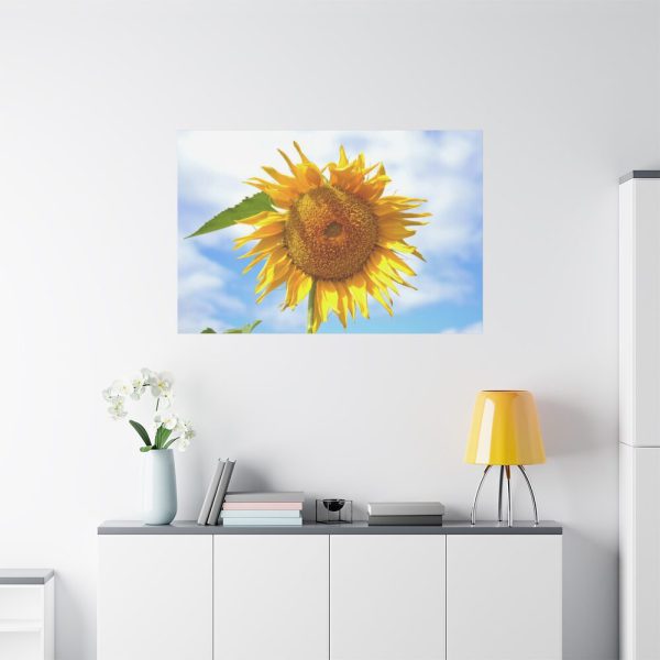 91638-58.jpg Sunflower with Blue Sky Standard Canvas
