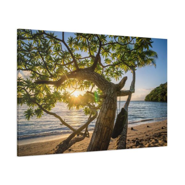 91638-585.jpg Sneaker Hanging from a Sand Beach Tree at Sunset Standard Canvas