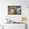 91638-587.jpg Sneaker Hanging from a Sand Beach Tree at Sunset Standard Canvas