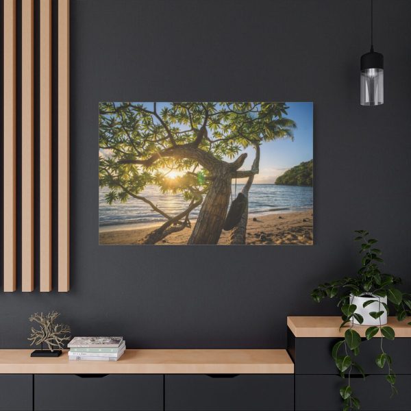 91638-588.jpg Sneaker Hanging from a Sand Beach Tree at Sunset Standard Canvas