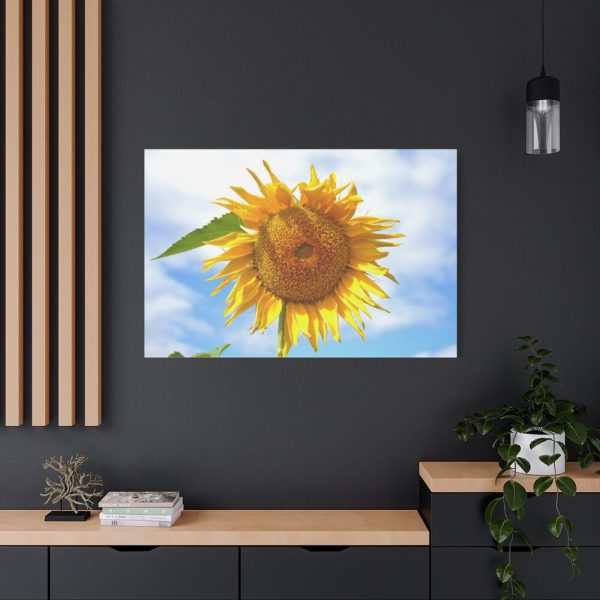 91638-59.jpg Sunflower with Blue Sky Standard Canvas