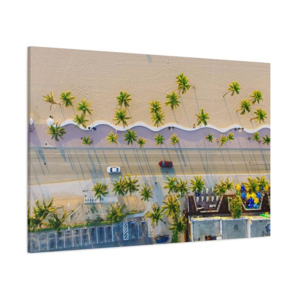 Palm Tree-Lined Road Standard Canvas