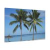 91638-605.jpg Palm Tree on the Beach Standard Canvas