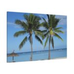 Palm Tree on the Beach Standard Canvas