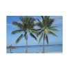 91638-606.jpg Palm Tree on the Beach Standard Canvas