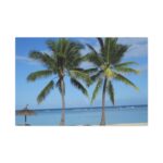 Palm Tree on the Beach Standard Canvas - Image 2