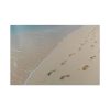 91638-636.jpg Foot Prints on Sand Standard Canvas