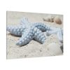91638-640.jpg Starfish Standard Canvas