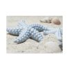 91638-641.jpg Starfish Standard Canvas