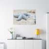 91638-642.jpg Starfish Standard Canvas