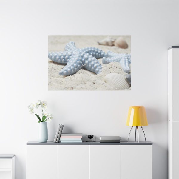 91638-642.jpg Starfish Standard Canvas