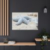 91638-643.jpg Starfish Standard Canvas