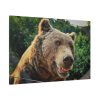 Grizzly Bear Snout Standard Canvas