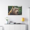 Grizzly Bear Snout Standard Canvas