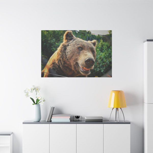 Grizzly Bear Snout Standard Canvas